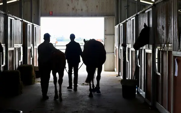 Supreme Thoroughbreds